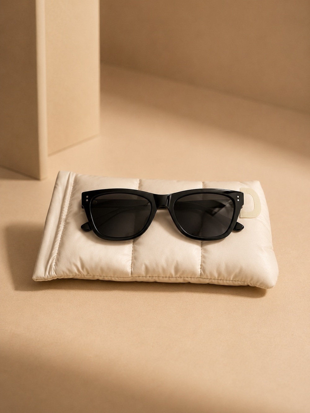 Jenny Bird Black Oversized Designer Sunglasses with Case